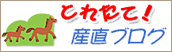 �k�C�����n�^�c���P�΍􎺃z�[���y�[�W���ɂ���u���O�W�ł�