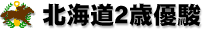 北海道2歳優駿 北海道2歳優駿