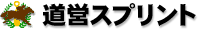 道営スプリント 道営スプリント