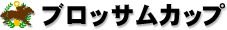 ブロッサムカップ ブロッサムカップ